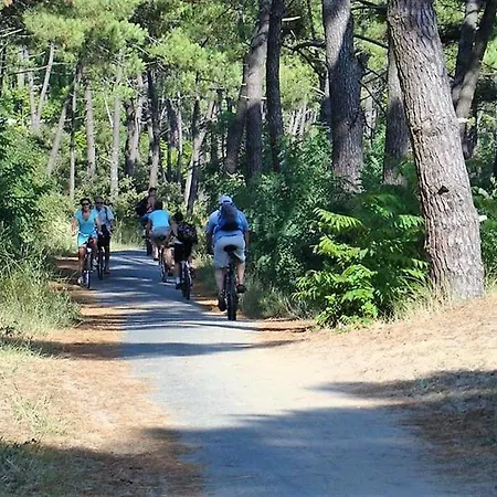 Palais Sur - Maison Situee Rue Des Ecoles - Au Calme *