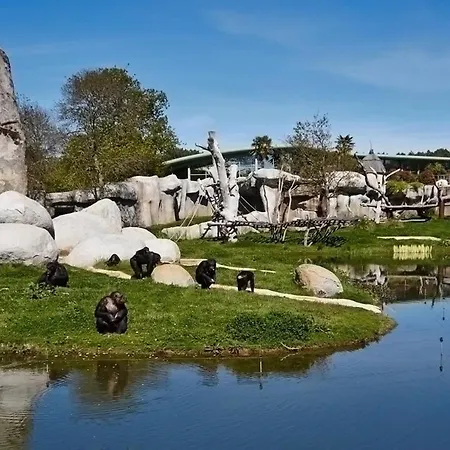 Palais Sur - Maison Située Rue Des Ecoles - Au Calme Villa