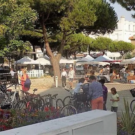 Palais Sur - Maison Située Rue Des Ecoles - Au Calme